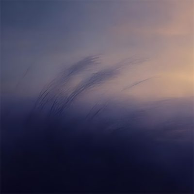 Wind-at-dusk_3000_web